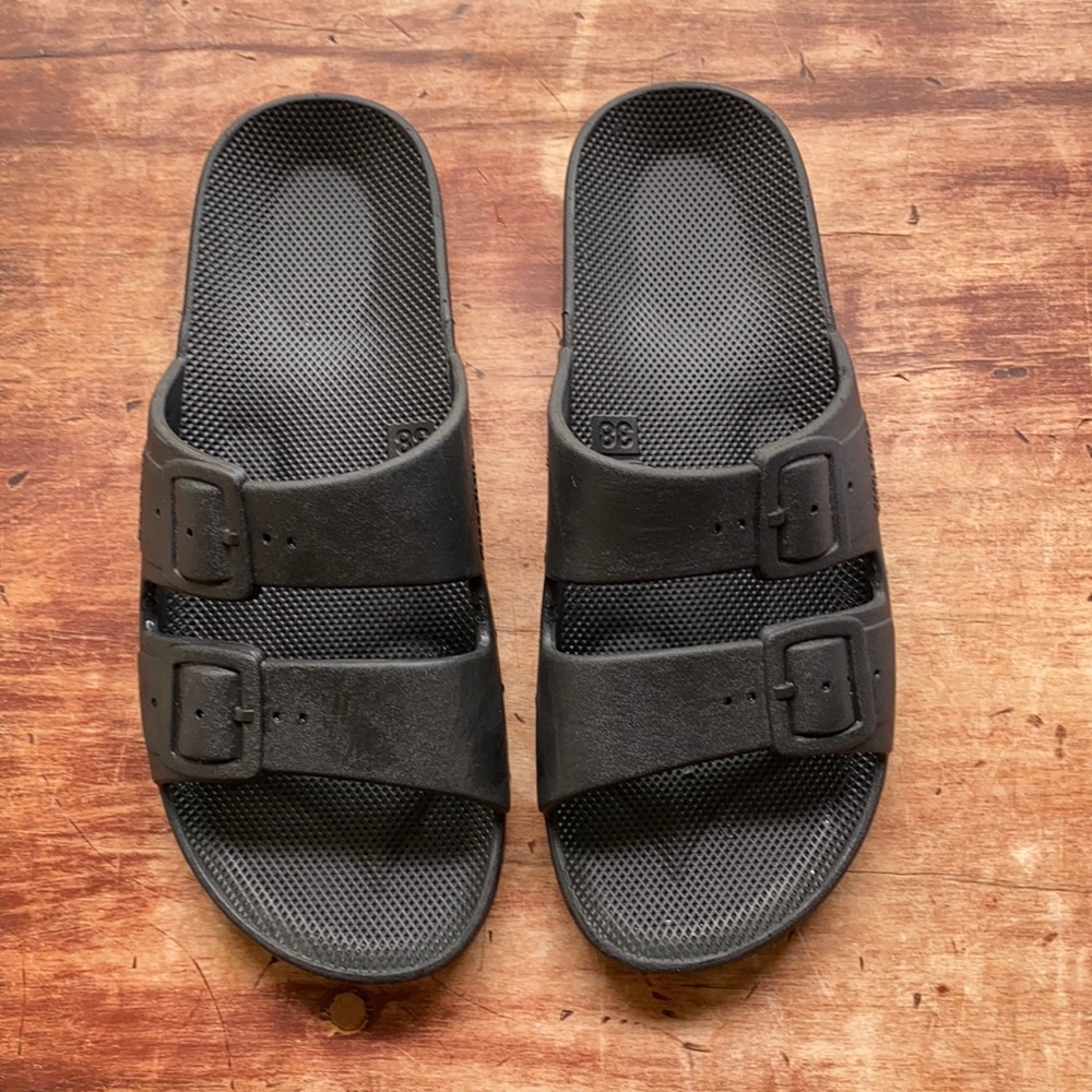 Freedom Moses Slides